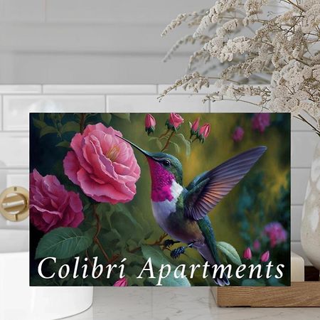 Colibri Apartamentos Vista Mar 모야카 외부 사진