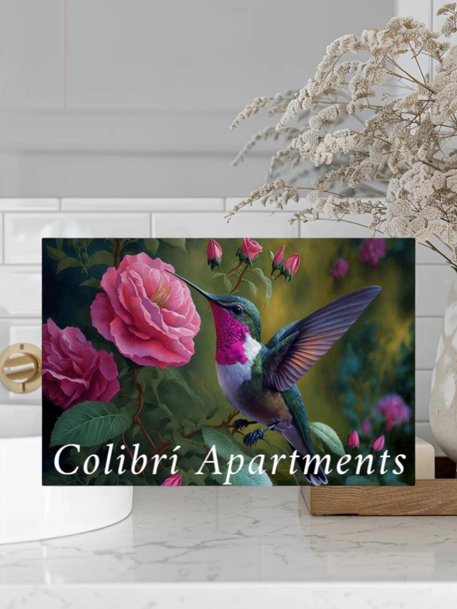 Colibri Apartamentos Vista Mar 모야카 외부 사진